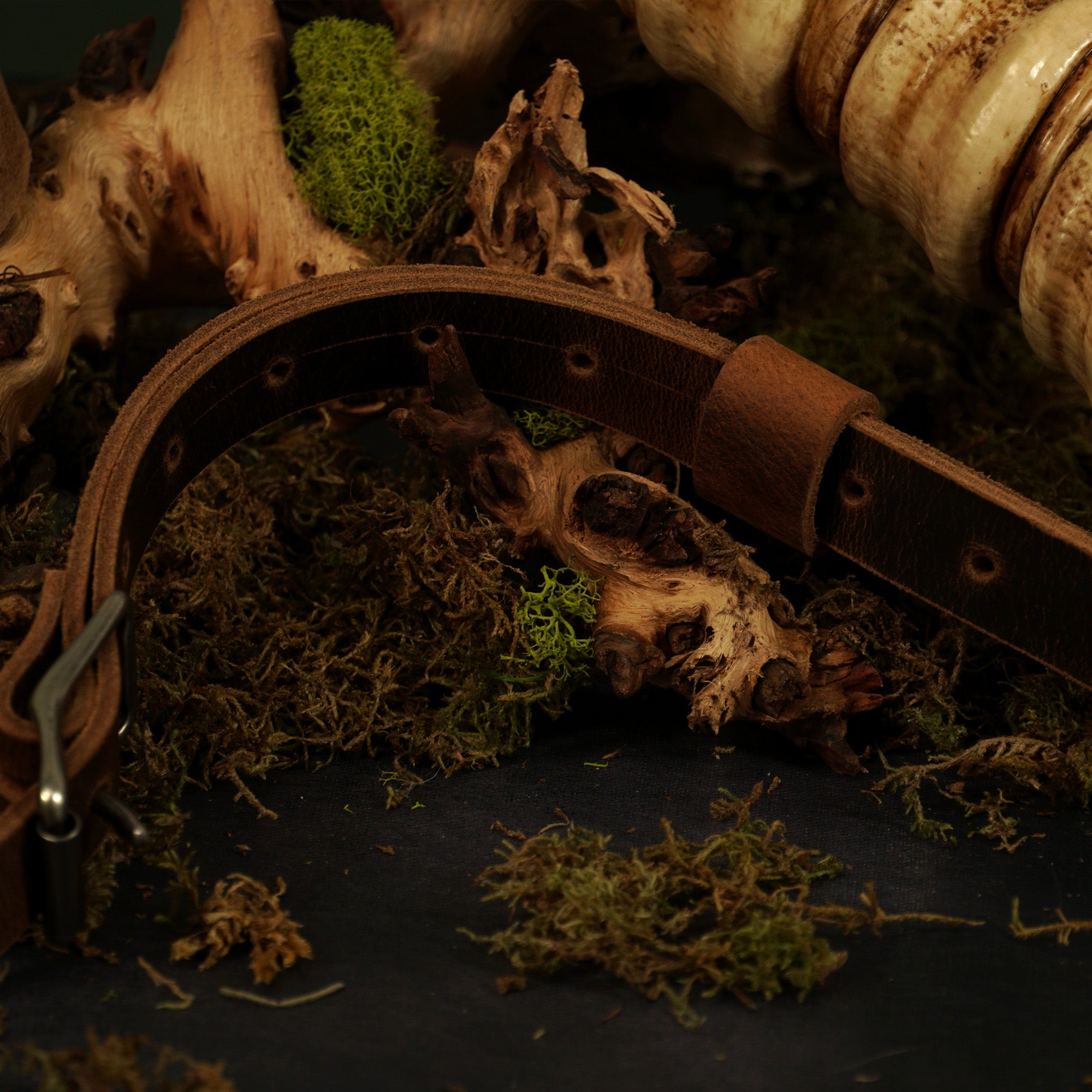 Kethorok Spinal Relic Playmat Vault - Woodland Rot